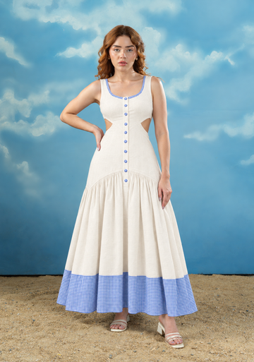 Blueberry Picnic Dress